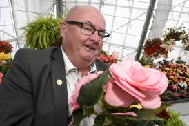 City of Ballarat mayor Des Hudson takes time for an early behind-the-scenes check in the House One Thousand Begonias, for Ballarat Begonia Festival. Picture by Lachlan Bence