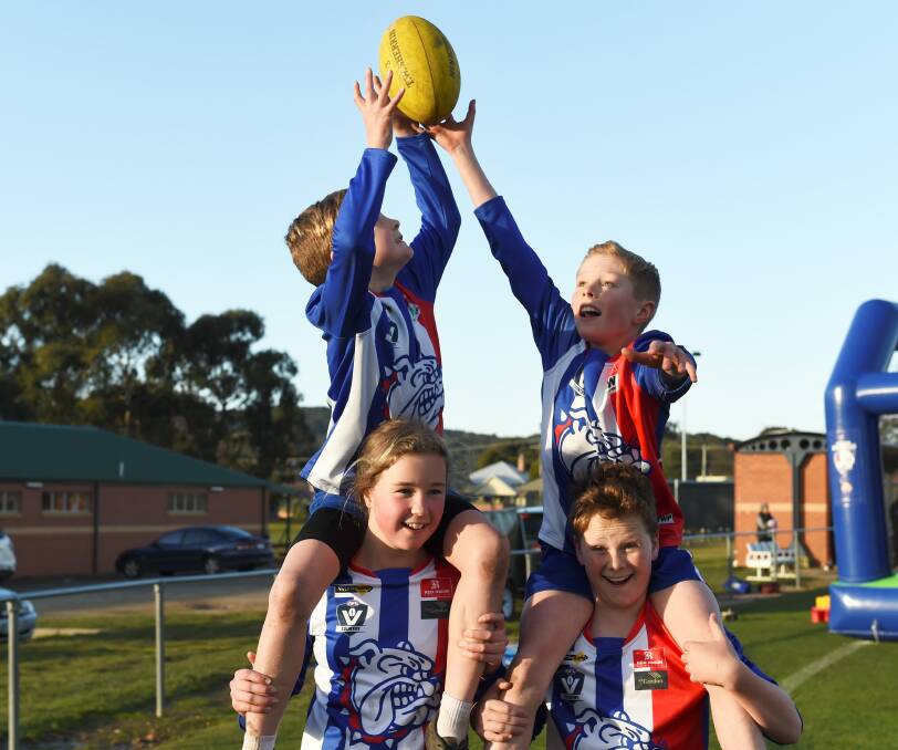 PROUD: East Point Bulldogs Narissa, Declan, Ky and Dylan are helping to turn the city dog-friendly and red, white and blue for AFL game day. Picture: Lachlan Bence