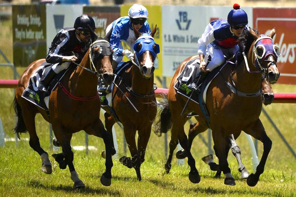 Honey Trap (jockey Samuel Payne) wins race one at Burrumbeet Cup on New Year's Day. Picture: Dylan Burns