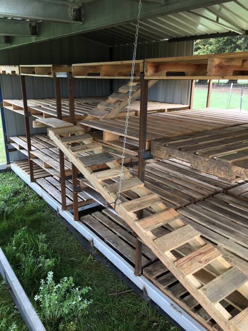 CHICKEN RUN: Delayed by this week's rain, this is part of the complete new chicken house, made with help of a local volunteer builder.
