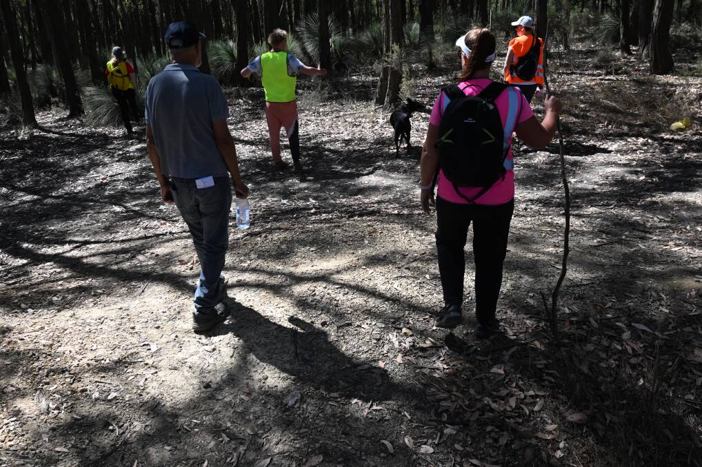 Community search efforts underway in bushlands at Mount Clear on Saturday, February 24, 2024. Picture by Lachlan Bence