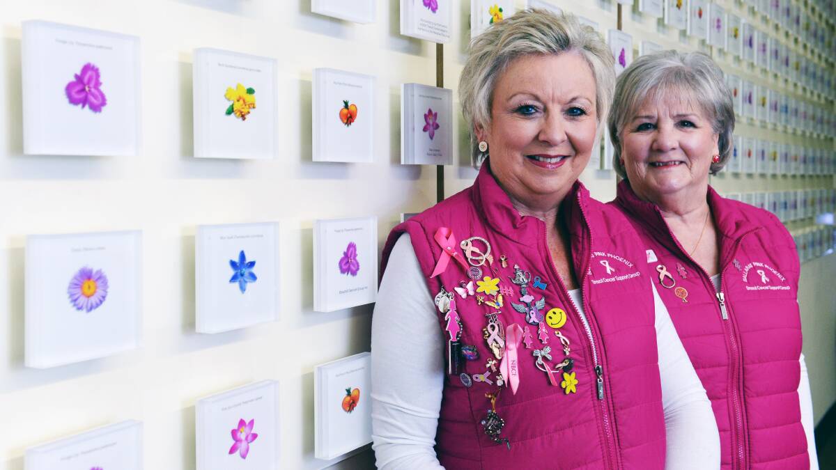 ONGOING GIFT: Pink Phoenix Ballarat's Gillian Britt and Di Kenwrick suggest an everlasting flower this Mother's Day to help fight cancer. Picture: Kate Healy