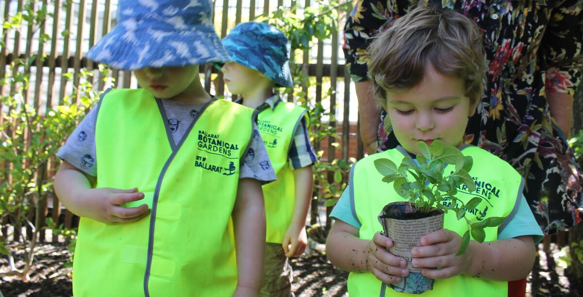 EDUCATION: Two-year-old William is learning how to plant and grow herbs in the Ballarat BotaniKIDS program. Picture: Rochelle Kirkham