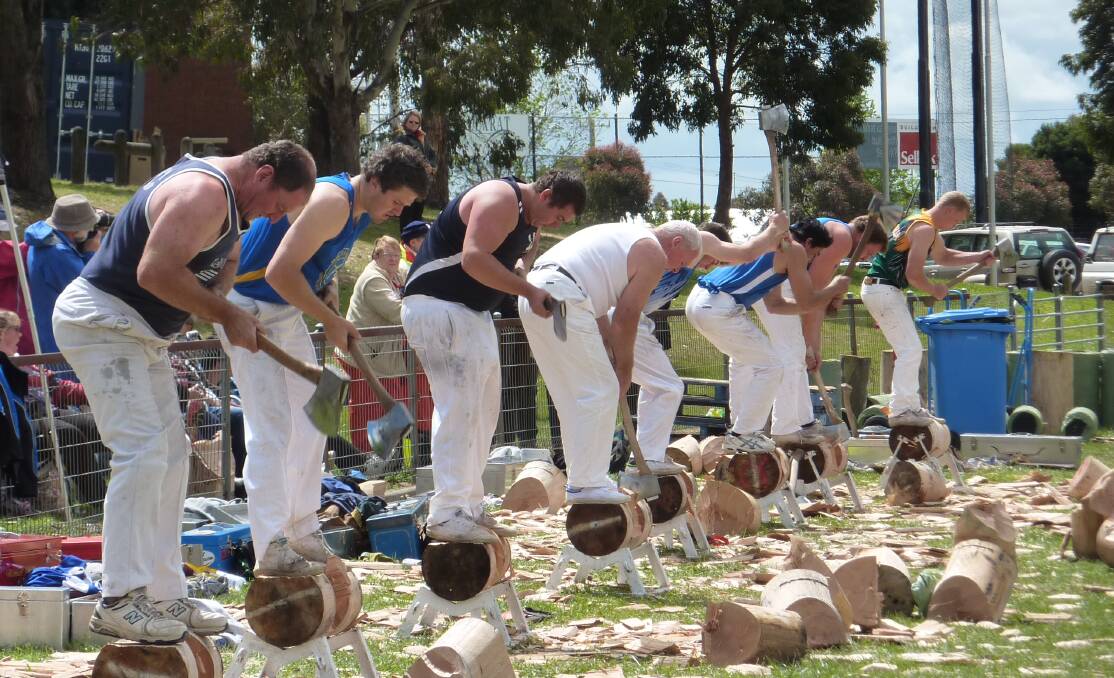 CHOP CHOP: Among the attractions to see this weekend are traditional country show events such as the state final dog jump and Australian wood chopping championships.


