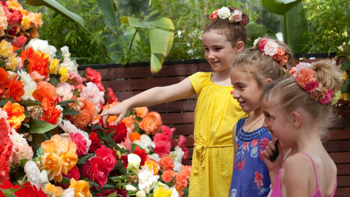There's plenty to do in Ballarat this autumn, including the ever-popular Begonia Festival. 
