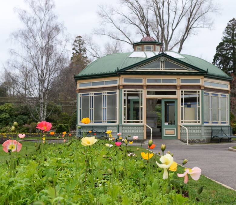 SPLASH OF COLOUR: The flowers in the Ballarat Botanical Gardens are providing a gorgeous array against a grey backdrop of the winter sky. Picture: Kate Healy