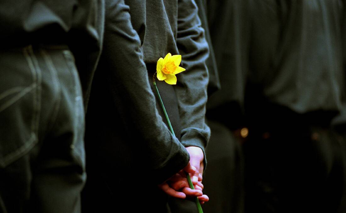 HAPPY BIRTHDAY: Since its inception 30 years ago, Daffodil Day has raised more than $137 million for cancer research, prevention programs and support services.