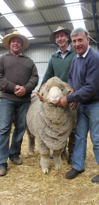 SHEEPVENTION: Buyers Michael Hedger (left) and Michael Green and vendor Robert Harding, Glendonald Merino stud.