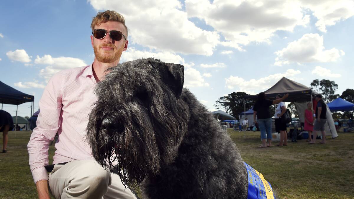 Happy pooch: Paul Kylstra with Nate after being named best exhibit in show at the Ballarat Dog Show.  Picture: Luka Kauzlaric.