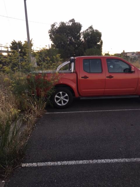 Fire hazard: Grass at V/Line's Doveton Street North is more than one metre high in parts despite vehicles parking next to it. Picture: Paul Ryan