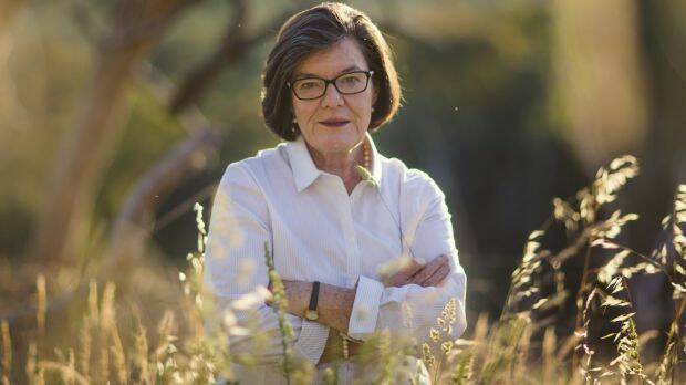 Patience: While a vocal supporter of decentralisation, Indi MP Cathy McGowan says it's important to ensure government and the public service are on the same page.  