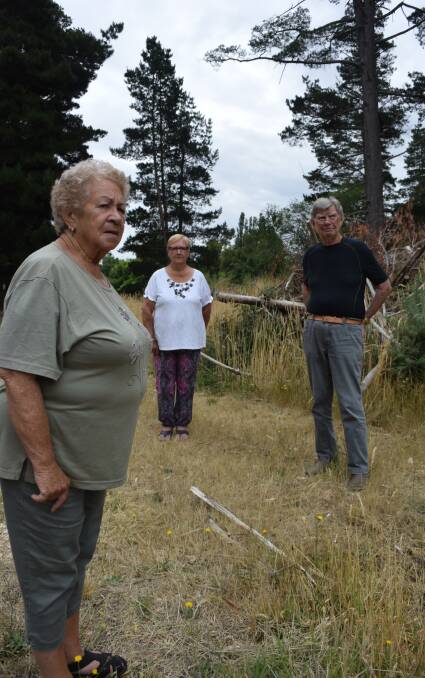 Worried: Creswick residents Maureen Tait, Maureen Goppick and Russell Castley inspect the long grass near their housing complex.  Picture: Brendan Wrigley. 