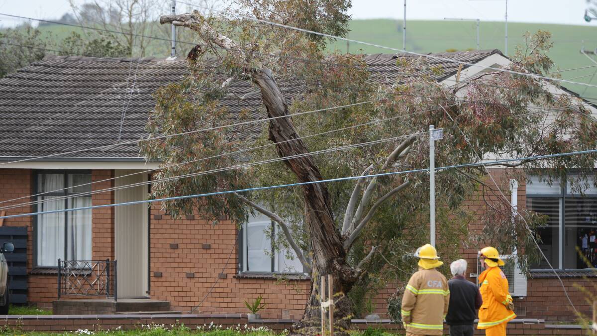Powerlines down in Wendouree.  Picture: Kate Healy. 