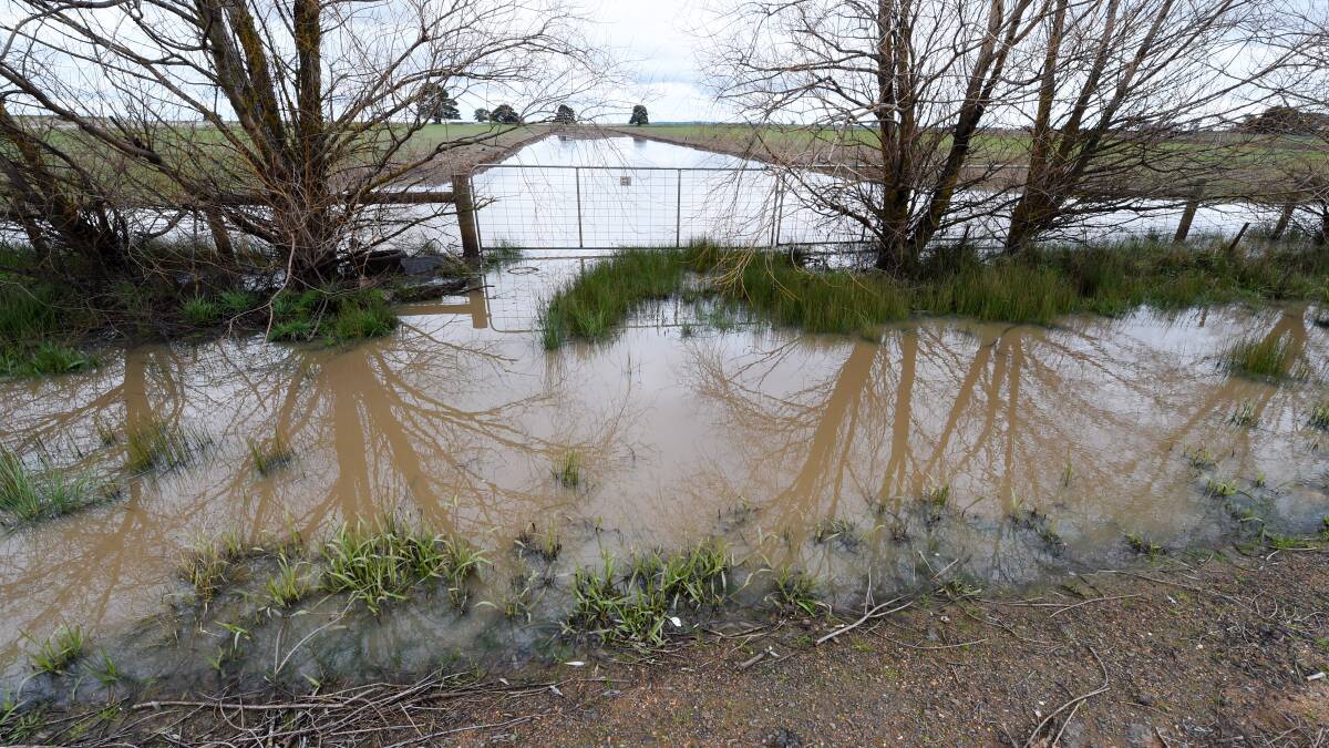 Wet: Bodies of water line both sides of Ballarat-Carngham Road .  Pictures: Jeremy Bannister.  