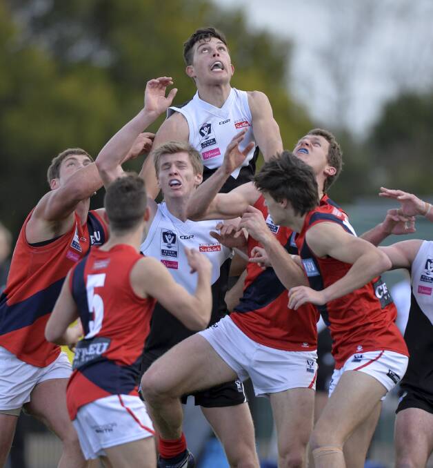 Leading from the front: North Ballarat big man Rowan Marshall flies in the pack during his best on ground performance against the Coburg Lions on the weekend.  Picture: Dylan Burns.