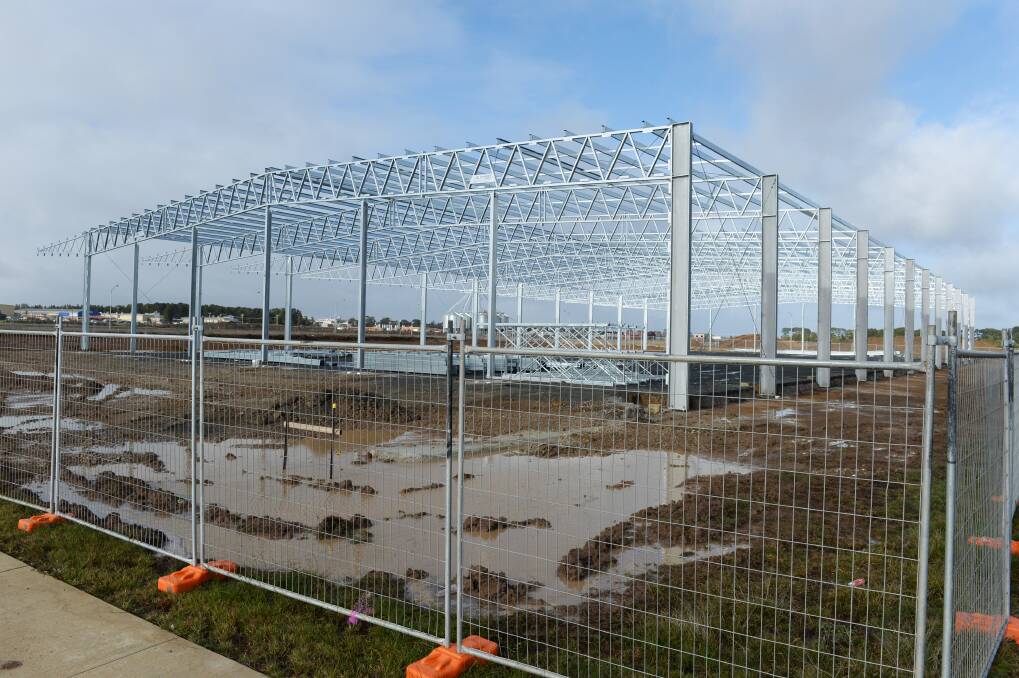 Taking shape: The frame for Kane Transport's new BWEZ home has been erected, with the company hoping to move in by the end of the year.  The transport company is one of four anchor tenants.  Picture: Kate Healy. 