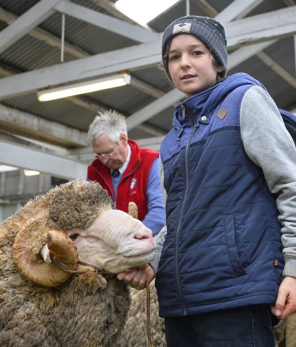 Young farmer: Alex Russell, 12, with a merino ram at the Ballarat Sheep Show. There were many young people showing their stock in 2016, a good sign for sheep farming. Photo: Dylan Burns