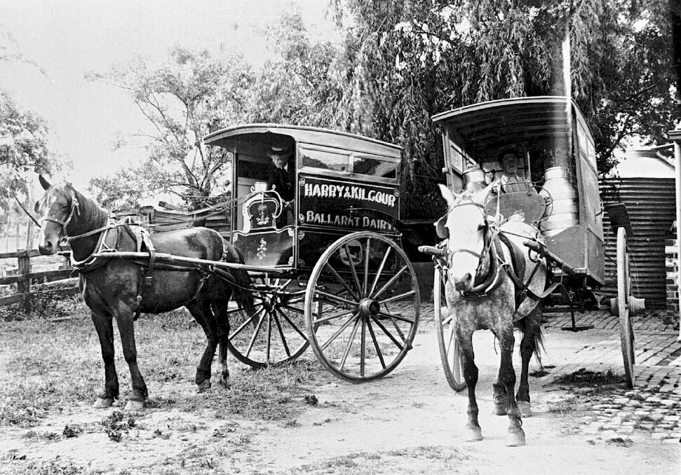Horse-drawn dairy carts: from the Harry &​ Kilgour Ballarat dairy. Photo: Museum Victoria.
