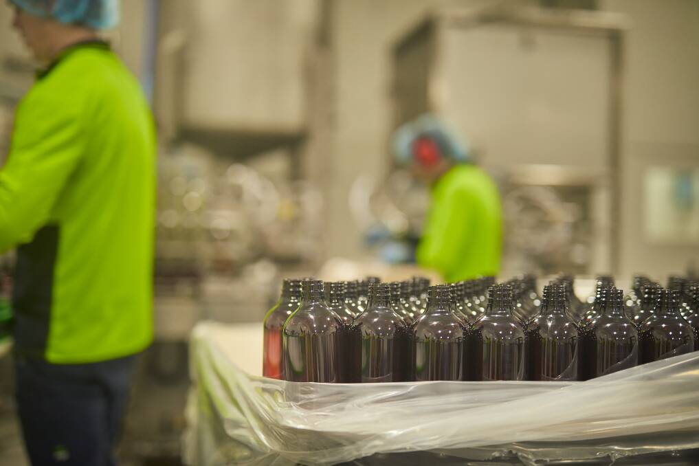 honey apple-cider vinegar: bottles on the line waiting to be filled at Capilano's Maryborough plant. Picture: Luka Kauzlaric.