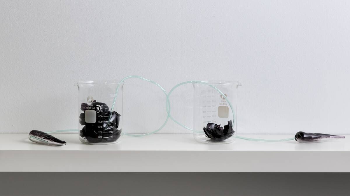 Yhonnie Scarce - Winner GNAP 2017 - Image: The More Bones the Better, 2016, six medical beakers, tubing & hand blown glass. Dimensions variable.