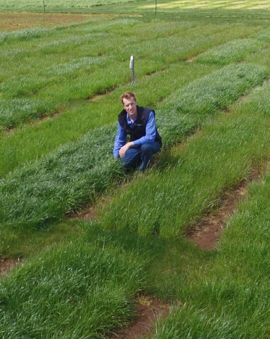 Grass can be greener: Martin Harmer will study pasture variety evaluation schemes in Europe and South America, with the aim to increase profit for farmers.