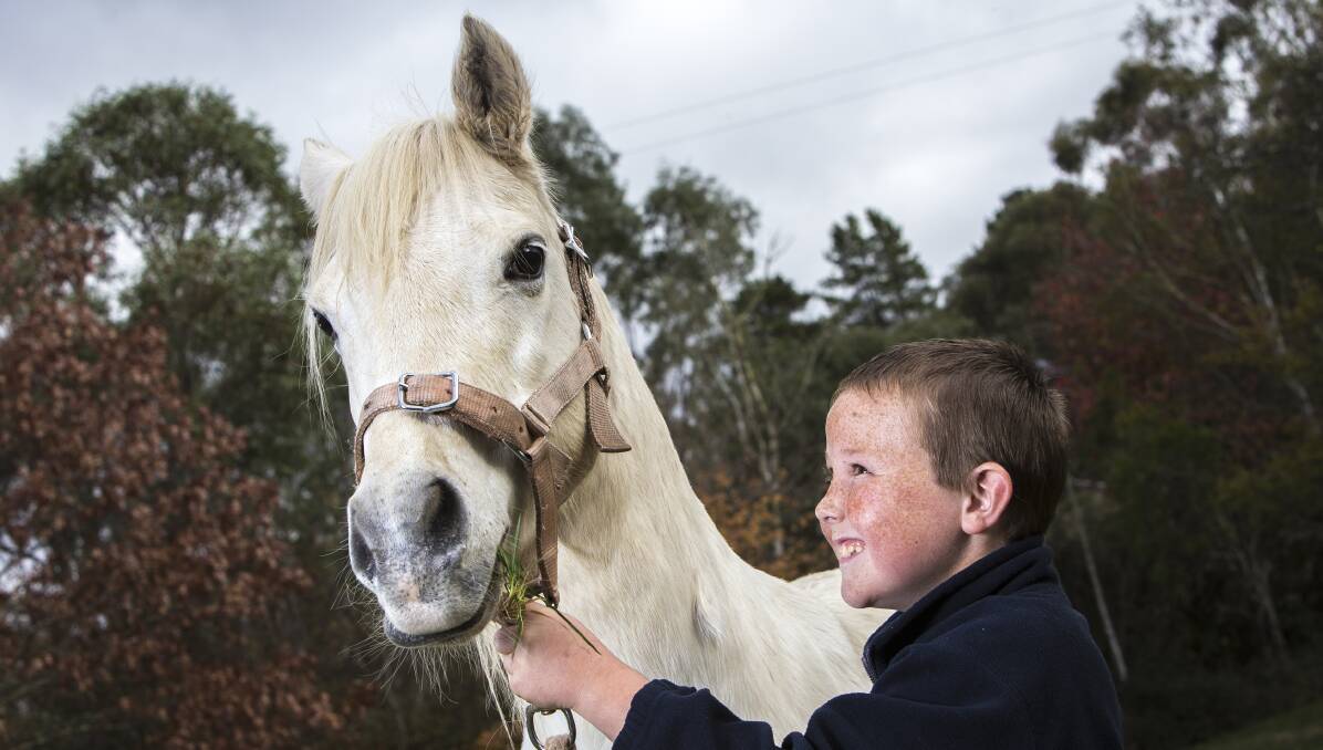 Horse sense: Cody Sweet with Maddy at the equine-assisted learning program in Snake Valley. Photo: Luka Kauzlaric.