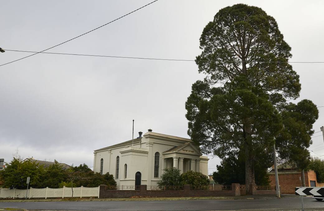 Enduring legacy: Bernstein's pine tree has survived for 150 years and is a landmark in Ballarat East.