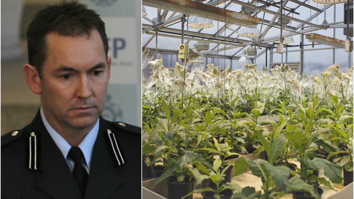 Illegal growth supports crime: Former AFP and ABF officer Rohan Pike says illegal tobacco is not just about avoiding paying taxes; it supports violent crime.