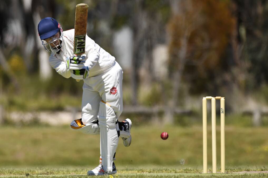 COOL HEAD: Wendouree's Cole Roscholler provided the calming influence Vic Country's batting order required on Thursday, guiding it to victory with an unbeaten 29.