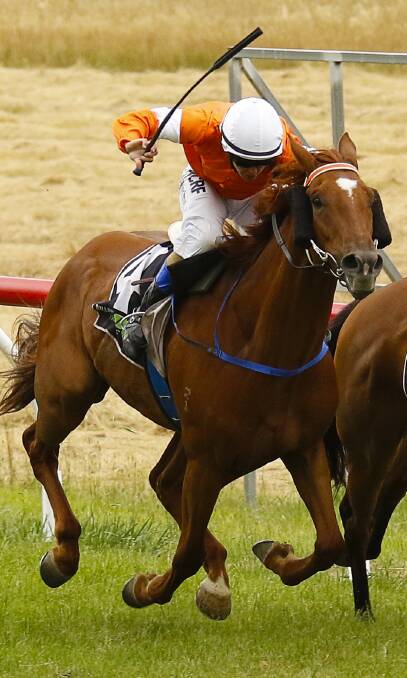 COFFEY TIME: top weight Vianden will be ridden by Harry Coffey in Monday's Burrumbeet Cup.