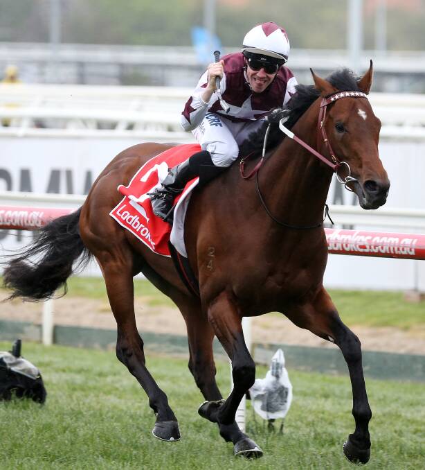YOU BEAUTY: Jockey John Allen shows his joy aboard Darren Weir-trained Cliff's Edge on Saturday. It was one of four wins for Weir at Caulfield.