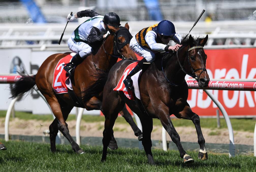 TOO STRONG: Ben Allen pilots Archie Alexander-trained Lord Fandango to victory in Saturday's Herbert Power Stakes at Caulfield.