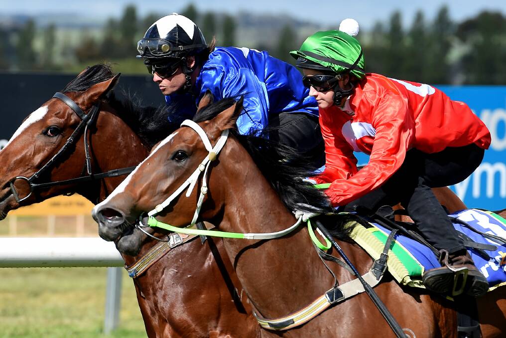 FEELING GOOD: Michelle Payne partners Majestueux in Thursday's trial in Ballarat. Picture: Lachlan Bence.