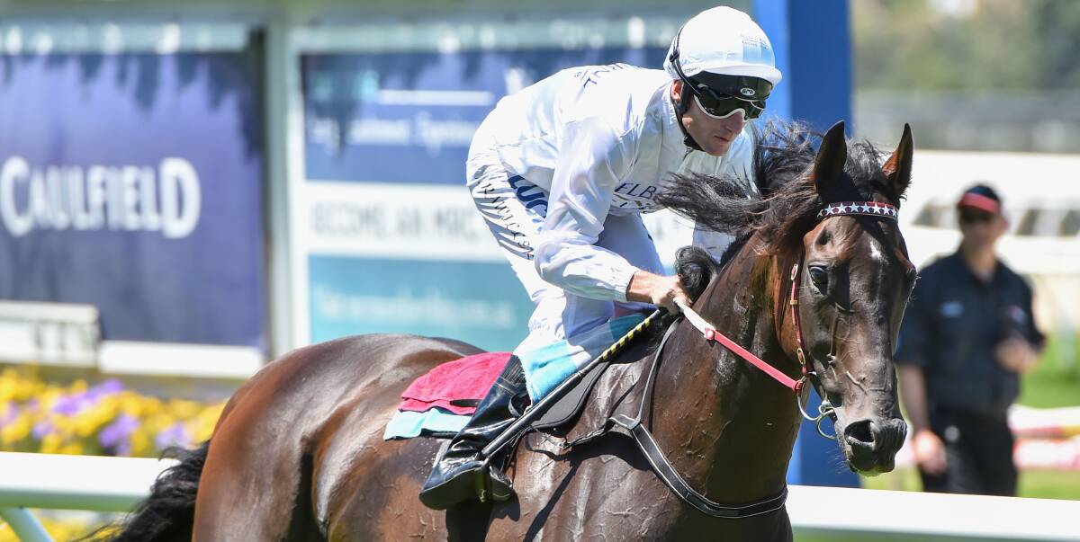 SIDELINED: Signoff, pictured during a track gallop with Brad Rawiller last weekend, might return to the races at Moonee Valley next Friday night. Picture: Getty Images.