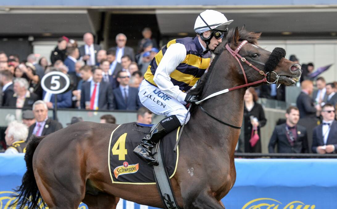 CUP CHANCE: Lidari is one of four Darren Weir-trained runners in Saturday's Ballarat Cup. Picture: Getty Images.