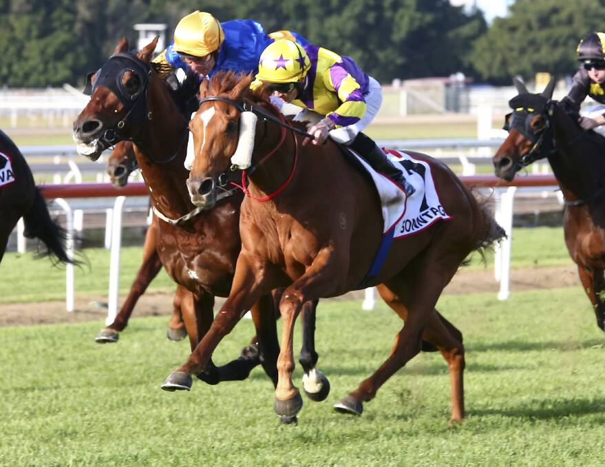 CAREER HIGHLIGHT: Jockey Chad Schofield partners Sonntag to victory in the group 1 Queensland Derby during 2014. The horse is likely to have his final career start on Saturday.