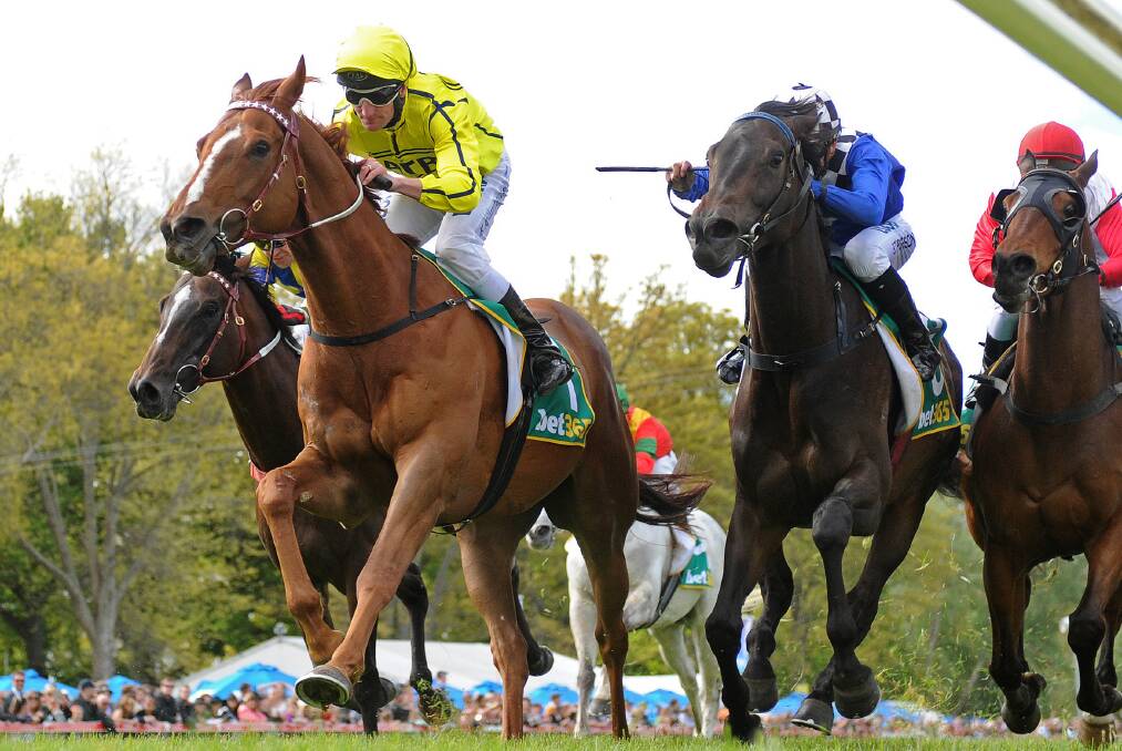 BACK IN FORM: Taiyoo and Brad Rawiller (in yellow) on their way to victory in the Kyneton Cup last week. Picture: Getty Images.