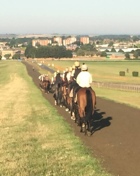 FOOD FOR THOUGHT: A picture, taken by BTC chief executive Lachlan McKenzie, shows a grass/synthetic training set-up in Newmarket, England which the club is considering replicating.