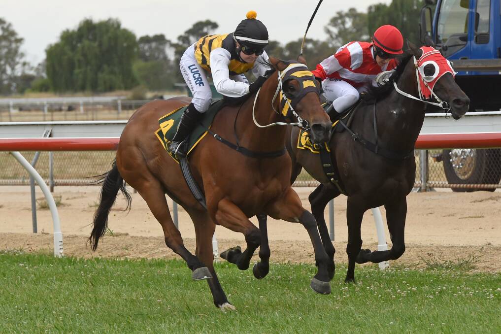 LAST WINNER: Leticia Griffin and Zedi Gold race to victory in a benchmark 58 handicap at Kerang on Boxing Day. That success came before the car accident that sidelined her for more than a month. Pictures: Getty Images.