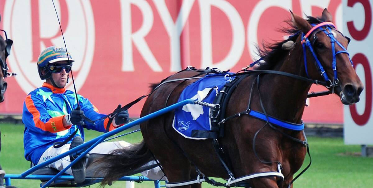 ON A MISSION: Michael Stanley, pictured behind Petacular, is out to win the Australian Pacing Gold group 1 at Menangle on Saturday night. Picture: Harness Racing Victoria. Story: Harness Racing Victoria.