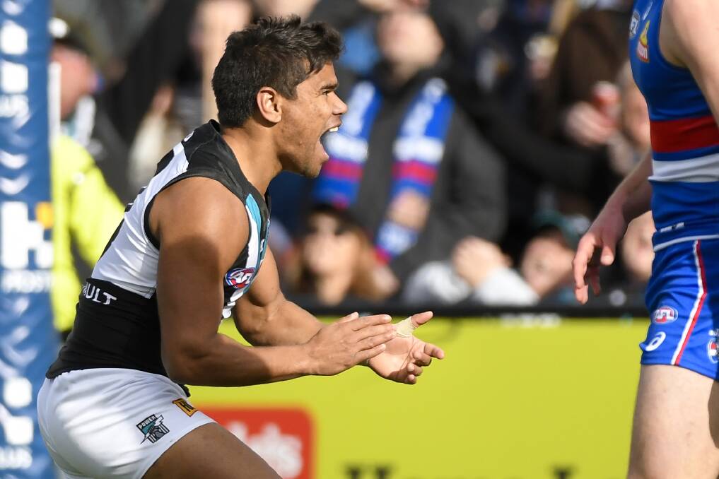 PUMPED UP: Former North Ballarat Rebels player Jake Neade celebrates one of Port Adelaide's goals in Ballarat on Saturday. Neade finished the day with 18 possessions. Picture: Dylan Burns.