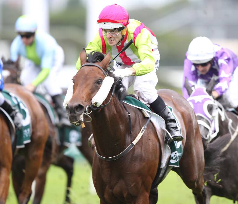 CHASING GLORY: Group 1-winning jockey Noel Callow has been booked to ride Glenn Stewart-trained Sergeant Sam, a horse that has raced 20 times without a win and managed just two placings.