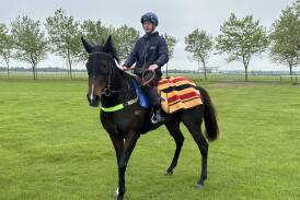 Asfoora and jockey Mitch Aitken have settled into their new surrounds at Newmarket well. Picture courtesy Henry Dwyer