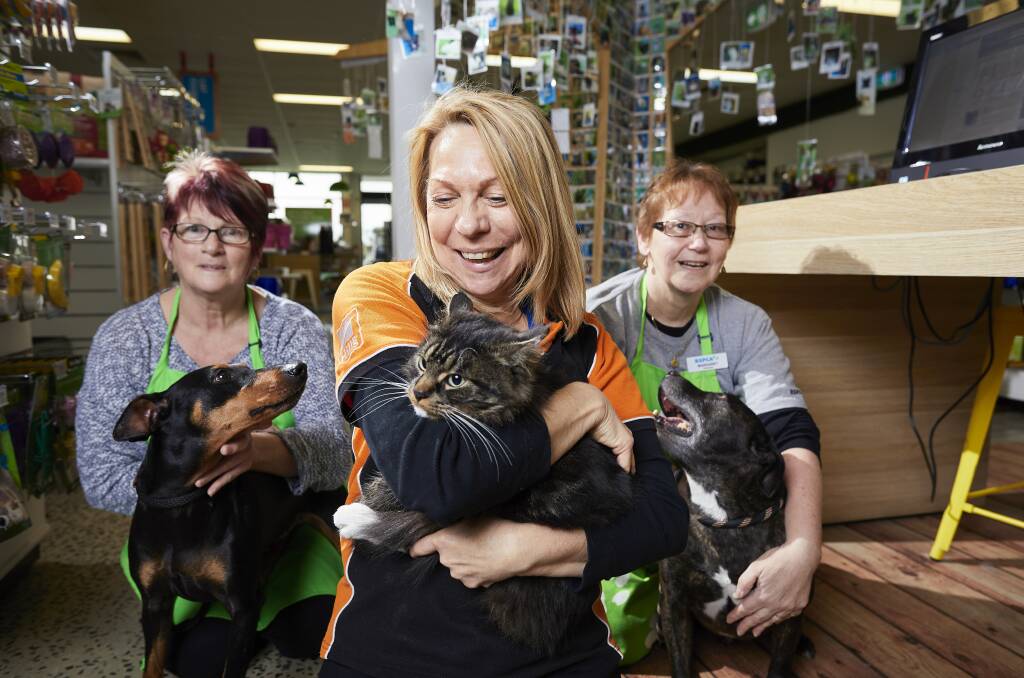 RSPCA has rehomed all but three pets. Pictures: Luka Kauzlaric. 