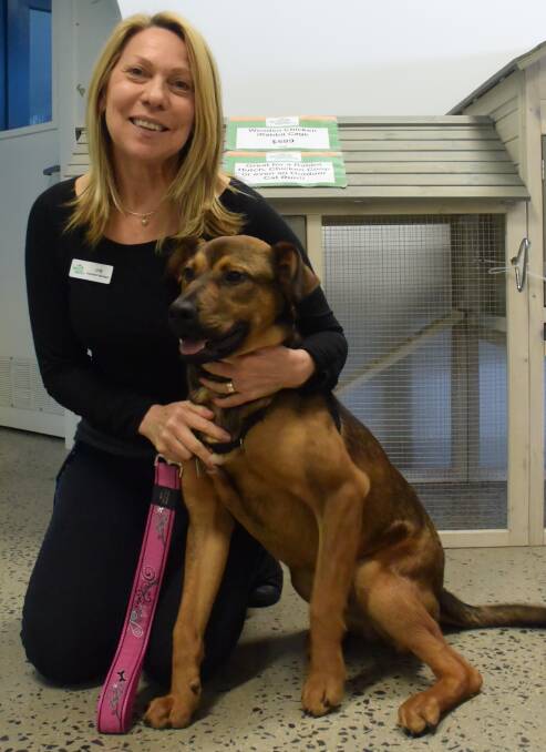 New home wanted: Nine-month-old Arden with Lyn Zboril from RSPCA.