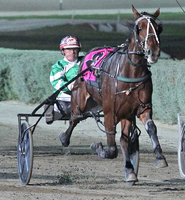 CHARGING: Two-year-old filly Our Celebrity -  one of 21 starts Ballarat trainer Emma Stewart has in VSS semi-finals at Melton. Picture: HRV