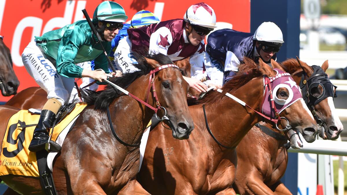 WHAT A STAR: Stratum Star leads home a quinella for Darren Weir in the group 2 Peter Young Stakes at Caulfield. Picture: Getty Images