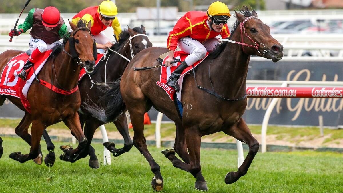 DOMINEERING: Voodoo Lad (Brad Rawiller) salutes in the group 3 Moonga Stakes, 1400m, to bring up a Darren Weir double at Caulfield. Picture: Getty Images