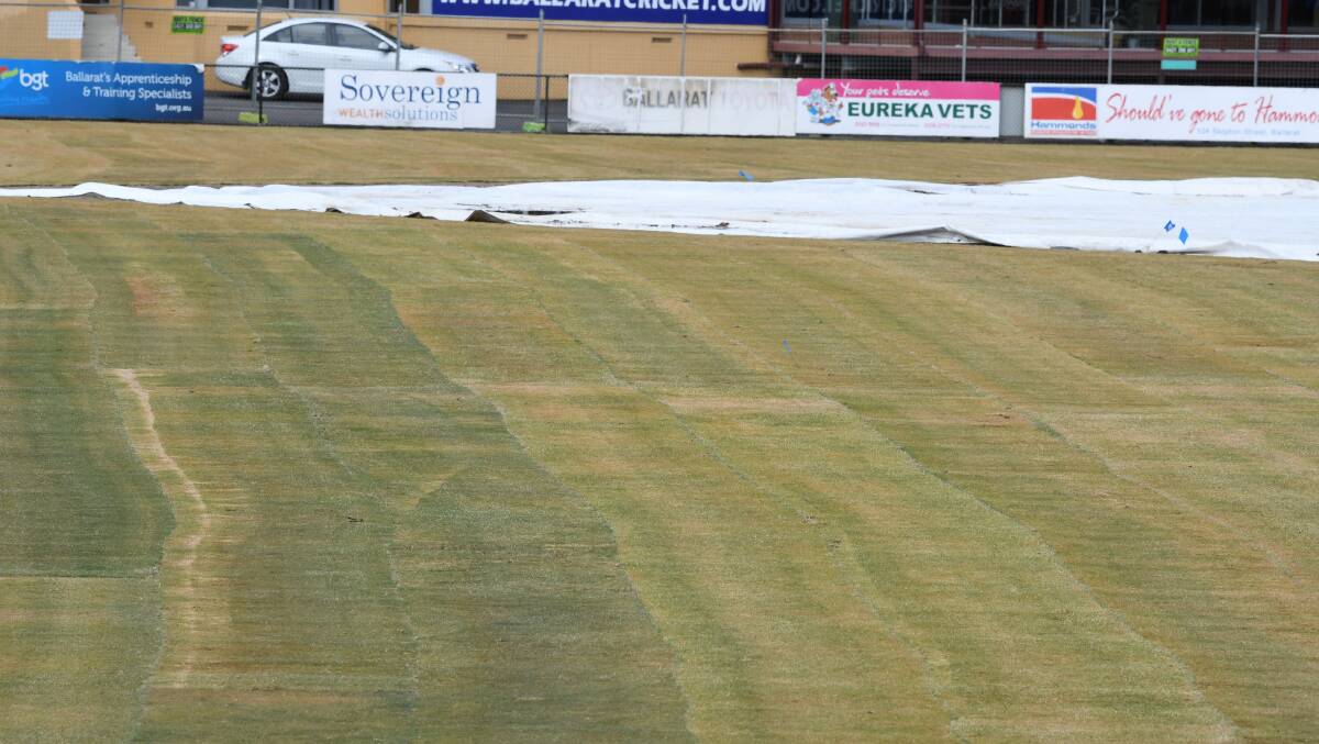 REGRASSED: new turf on the Eastern Oval. Picture: Lachlan Bence