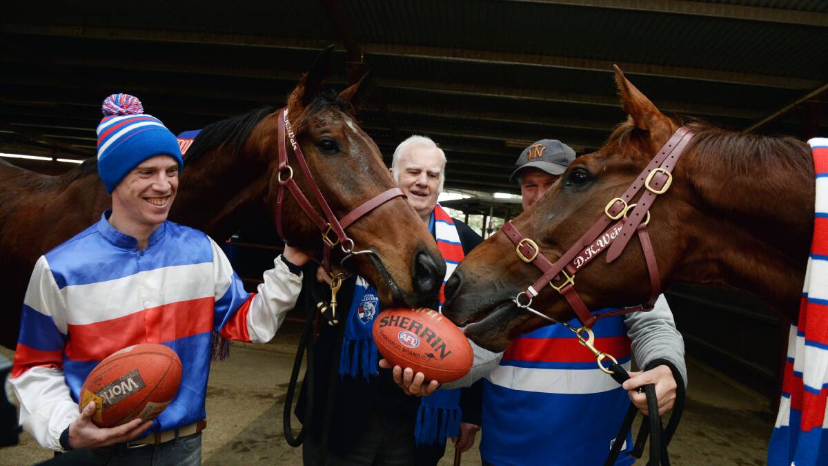 GO DOGS: with an historic AFL clash in Ballarat on Saturday, jockey John Allen, city councillor Grant Tillett, trainer Darren Weir, and jumpers Chequered Flag and Over the Yardarm are on the Western Bulldogs' bandwagon.